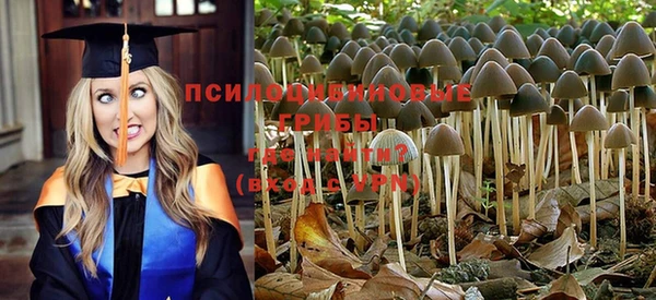 мяу мяу кристалл Горняк