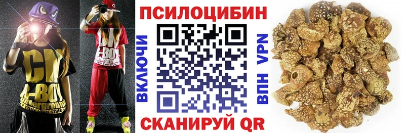 где купить наркотик Оха Галлюциногенные грибы прущие грибы